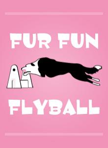 Flyball Logo - Fur Fun Flyball