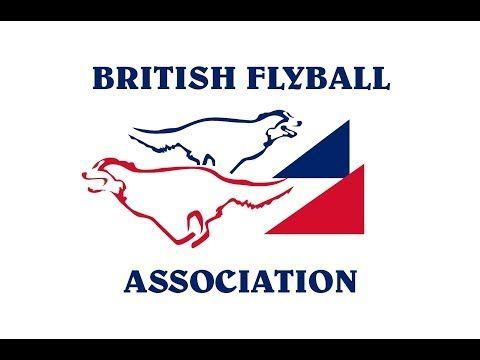 Flyball Logo - Day 1, Red Ring - British Flyball Association 2018 Indoor Championships