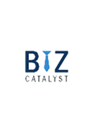 Biz Logo - biz catalyst logo - UnplugInfinity