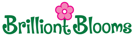 Brillion Logo - Brillion, Reedsville, Wrightstown WI Florist - Brilliont Blooms Florist