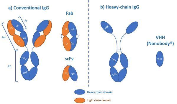 Plasmon Logo - Label-free Detection / Surface Plasmon Resonance Imaging (SPRi) - HORIBA