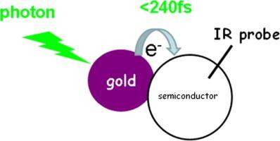 Plasmon Logo - Electron transfer dynamics and yield from gold nanoparticle to ...