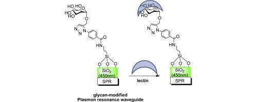 Plasmon Logo - Plasmon waveguide resonance for sensing glycan–lectin interactions ...