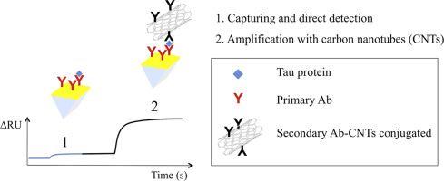 Plasmon Logo - Toward Sensitive Immuno Based Detection Of Tau Protein By Surface