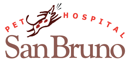 Bruno Logo - San Bruno, California Veterinarians - San Bruno Pet Hospital