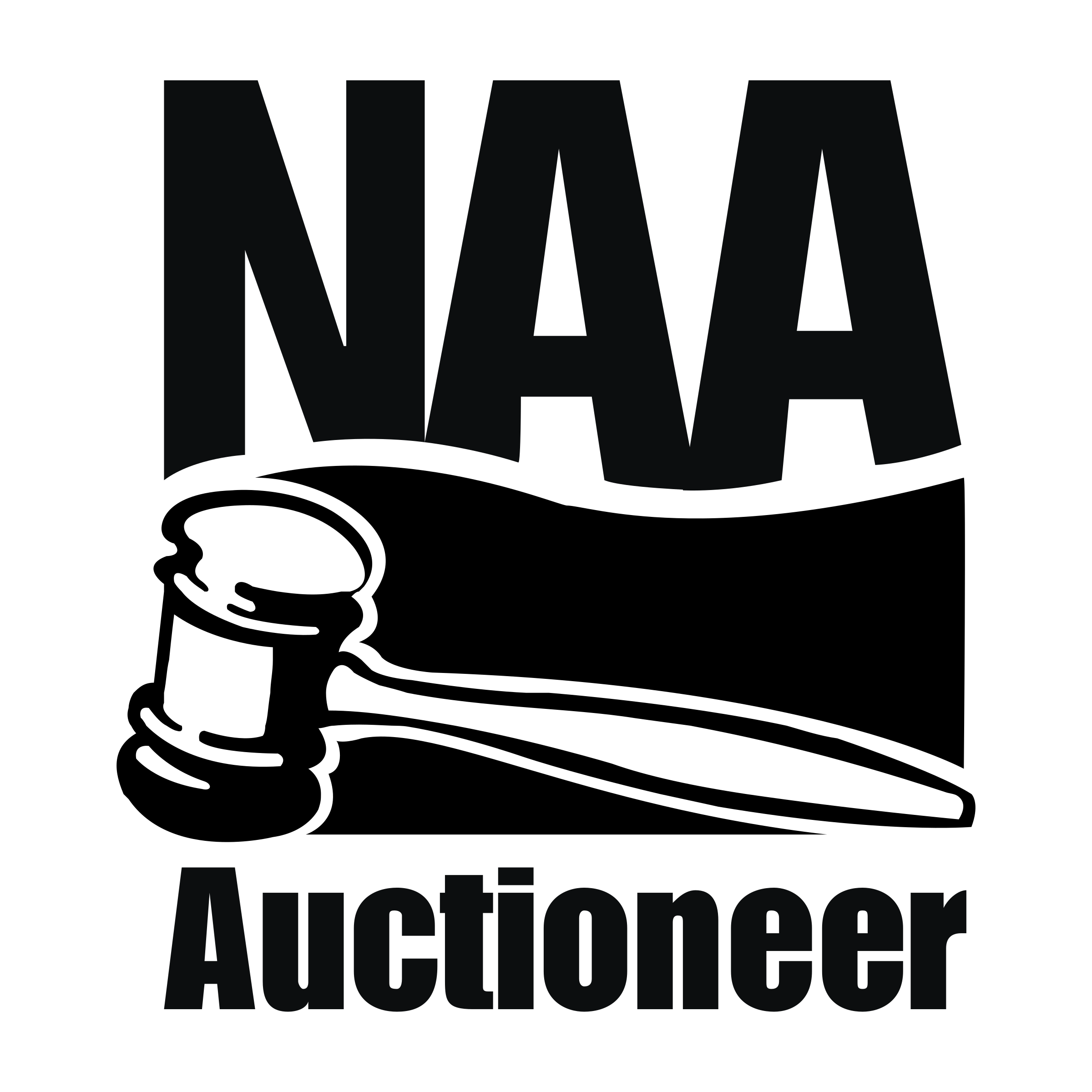 Naa Logo - NAA Auctioneer Logo PNG Transparent & SVG Vector - Freebie Supply