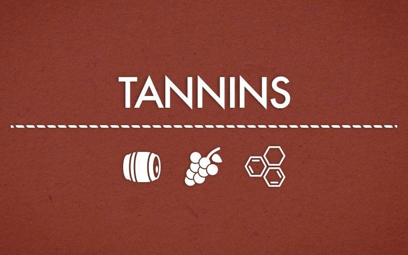 Tannins Logo - Tannins: what they are and what their functions are | WINERY LOVERS