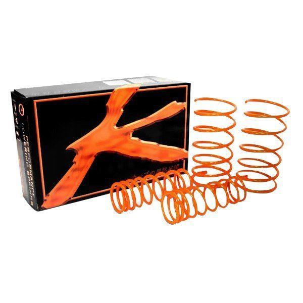 Ksport Logo - KSport®™ Lowering Spring Kit