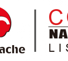 ChinaCache Logo - ChinaCache International Holdings Securities Fraud Class Action
