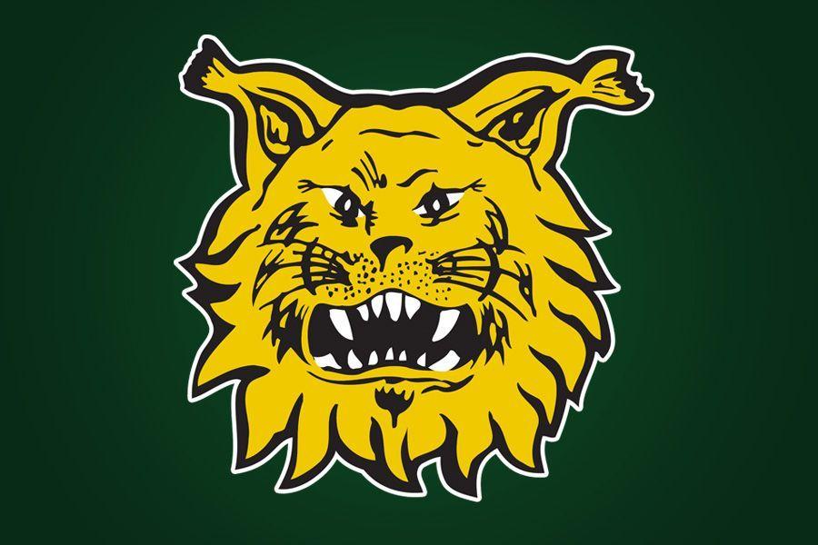 Ilves Logo - Finnish SM liiga League Ilves - Google Search | HOCKEY LOGOS ...