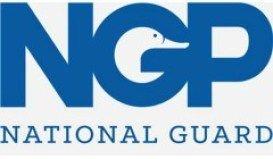 NGP Logo - Art for Jobs 2016 Sponsor: NGP