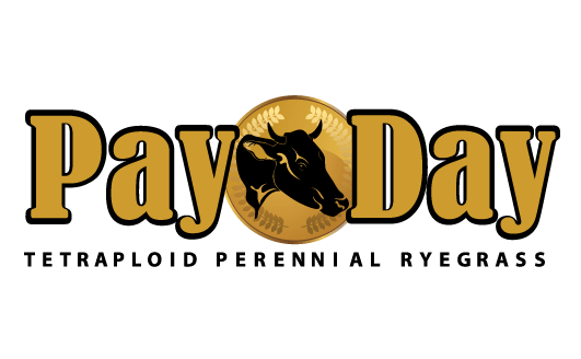 Payday Logo - PayDay. Tetraploid Perennial Ryegrass