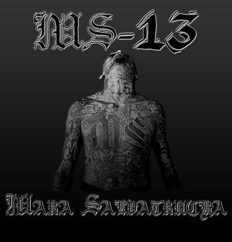 MS-13 Logo - US Government Targets MS-13 - Gorilla Convict