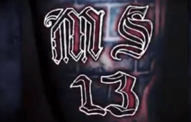 MS-13 Logo - MS-13 gang targeted in sweep across Los Angeles