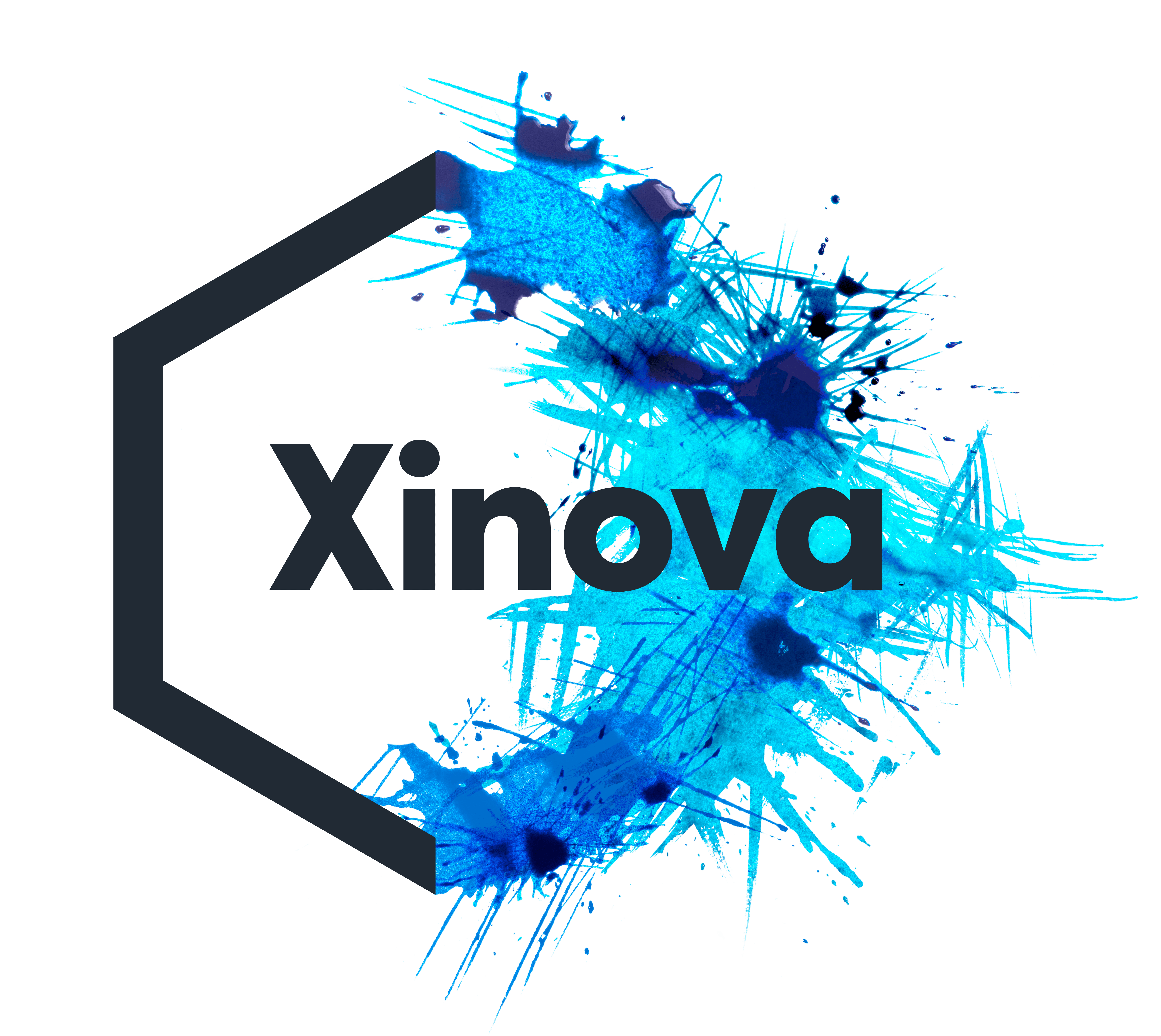Xenova Logo - Xinova - Innovation Partner | Business Growth Driver | Problem Solver
