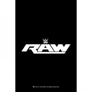 Raw Logo - Posters - Wwe : raw logo (white) | The Souled Store