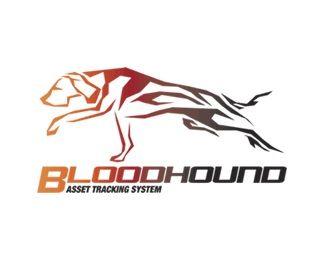 Bloodhound Logo - Bloodhound Design Inspiration