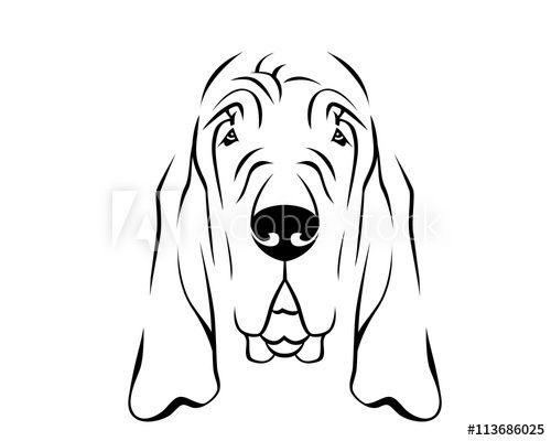Bloodhound Logo - Dog Breed Line Art Logo - Bloodhound - Buy this stock vector and ...