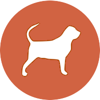 Bloodhound Logo - Bloodhound