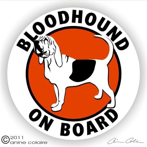 Bloodhound Logo - Bloodhound On Board