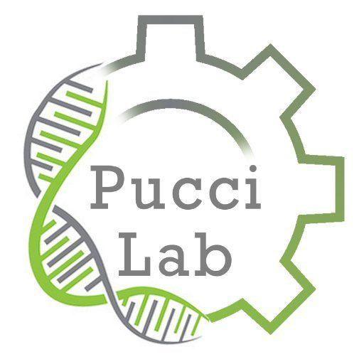 Yanfang Logo - Ferdinando Pucci's Lab on Twitter: 