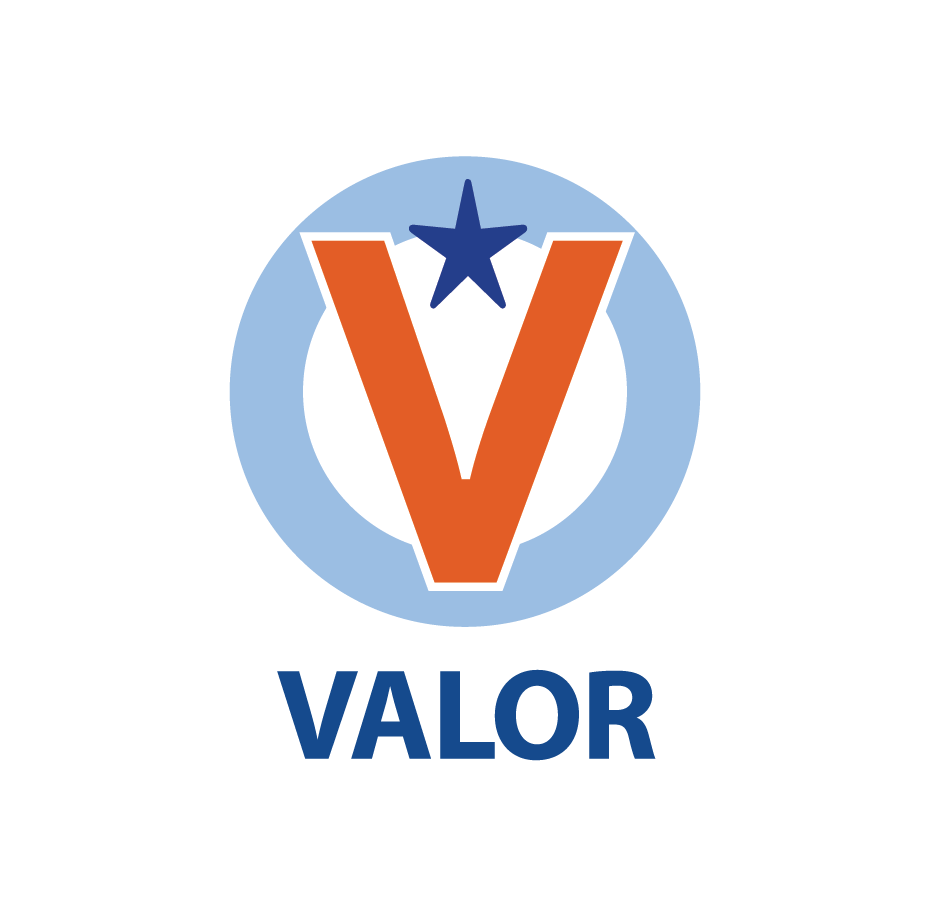 Valor Logo - just valor logo - New Profit