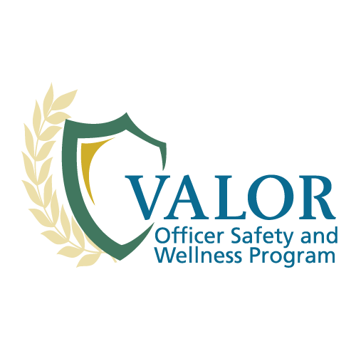 Valor Logo - Home - VALOR for Blue