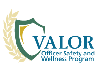 Valor Logo - Home - VALOR for Blue