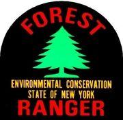 NYSDEC Logo - Wildland Fire Resources - NYS Dept. of Environmental Conservation