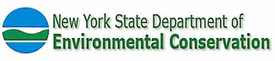 NYSDEC Logo - DEC reminds campers to use local firewood | Local News ...