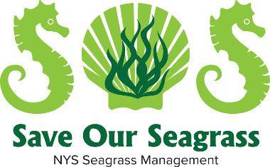 NYSDEC Logo - Got Seagrass? A Citizen Science Survey of NY Seagrass - NYS Dept. of ...