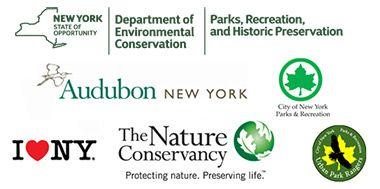 NYSDEC Logo - Watchable Wildlife Dept. of Environmental Conservation