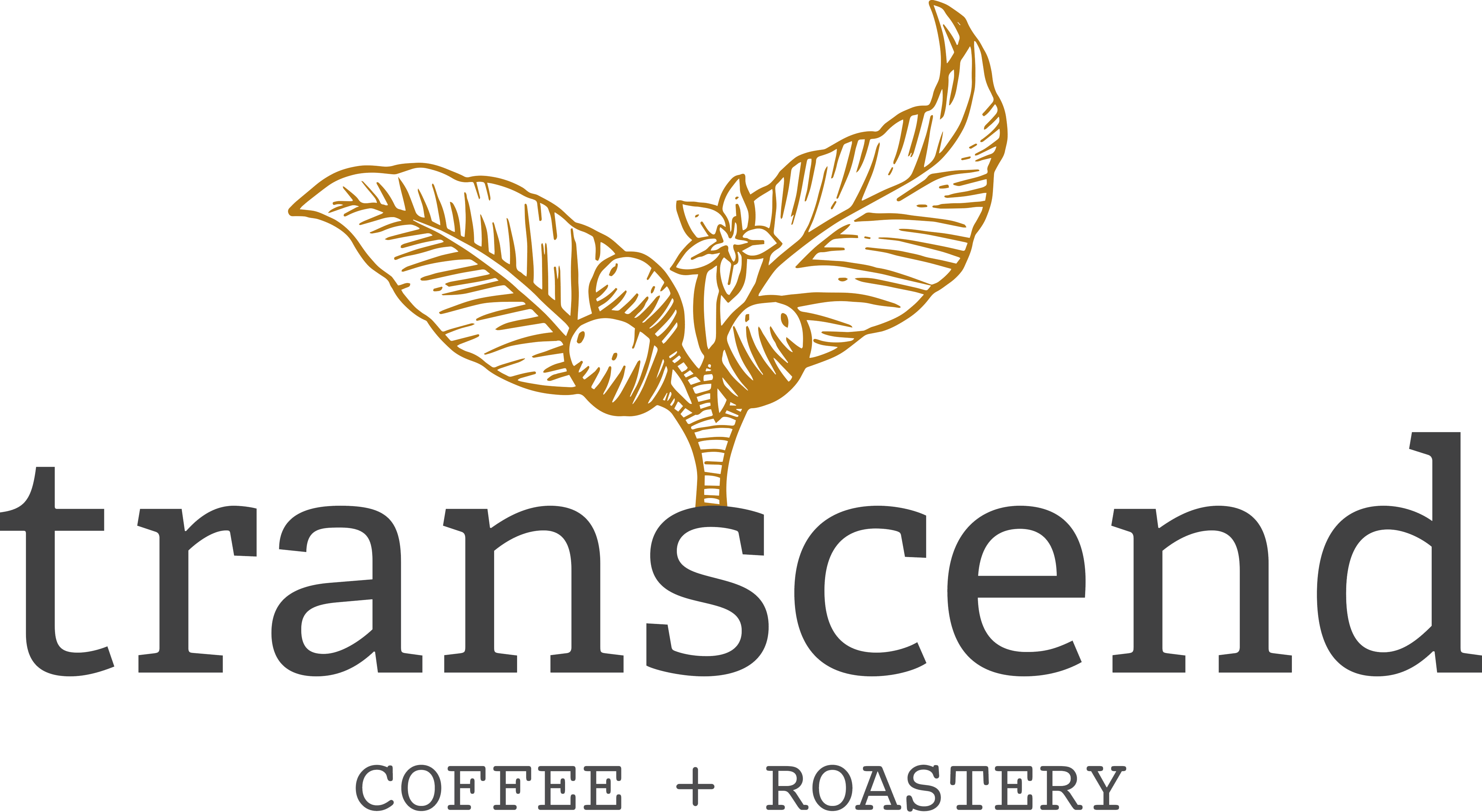 Transcend Logo - Careers at Transcend Coffee