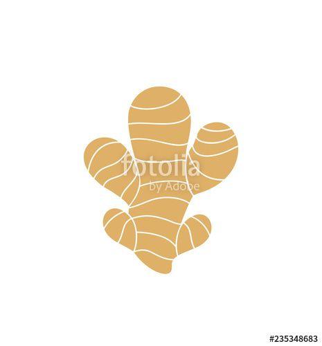 Ginger Logo - Ginger logo. Isolated ginger on white background