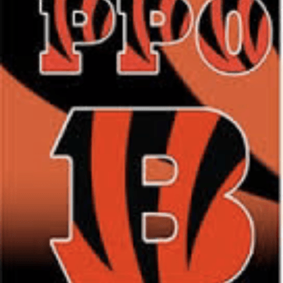 PPO Logo - Ppo Bengals Baseball | Snap! Raise