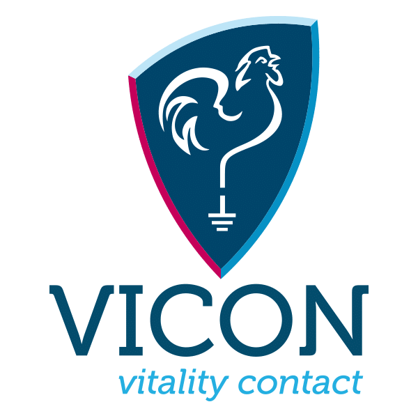 Vicon Logo - VICON – Erdungsprodukte für ein besseres Leben!