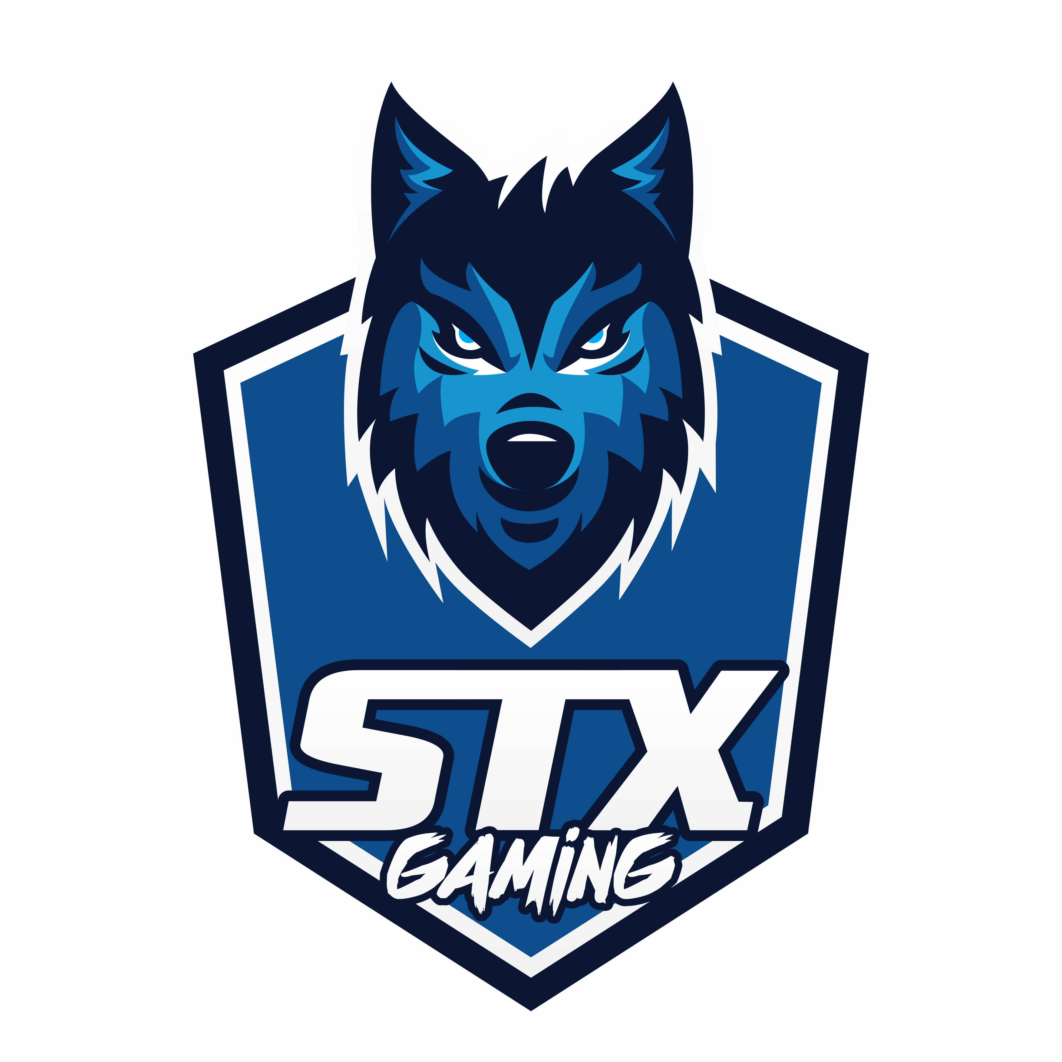 STX Logo - Logo