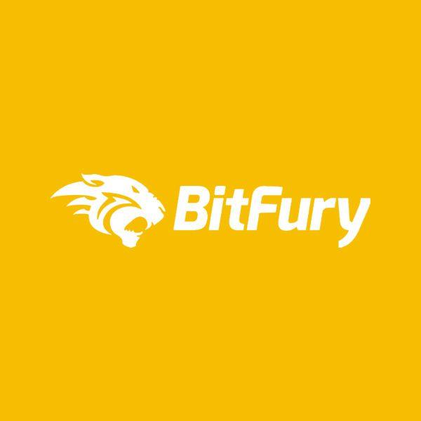 Bitfury Logo - client-bitfury - The IOT Group