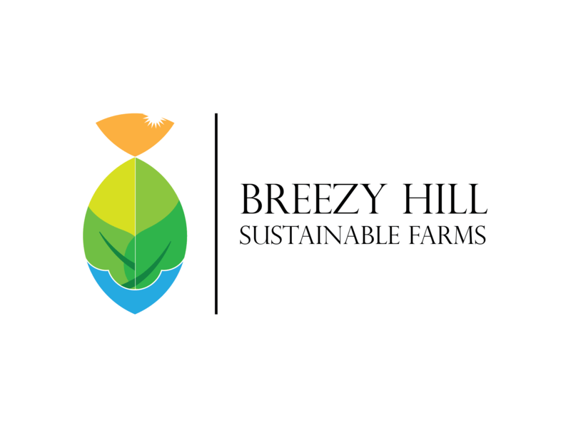Breezy Logo - Breezy Hill Logo by saifsalahdesignz on Dribbble