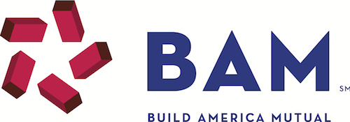Bam Logo - BAM Logo 2017 500px - Bond Dealers of America - DC Trade Association