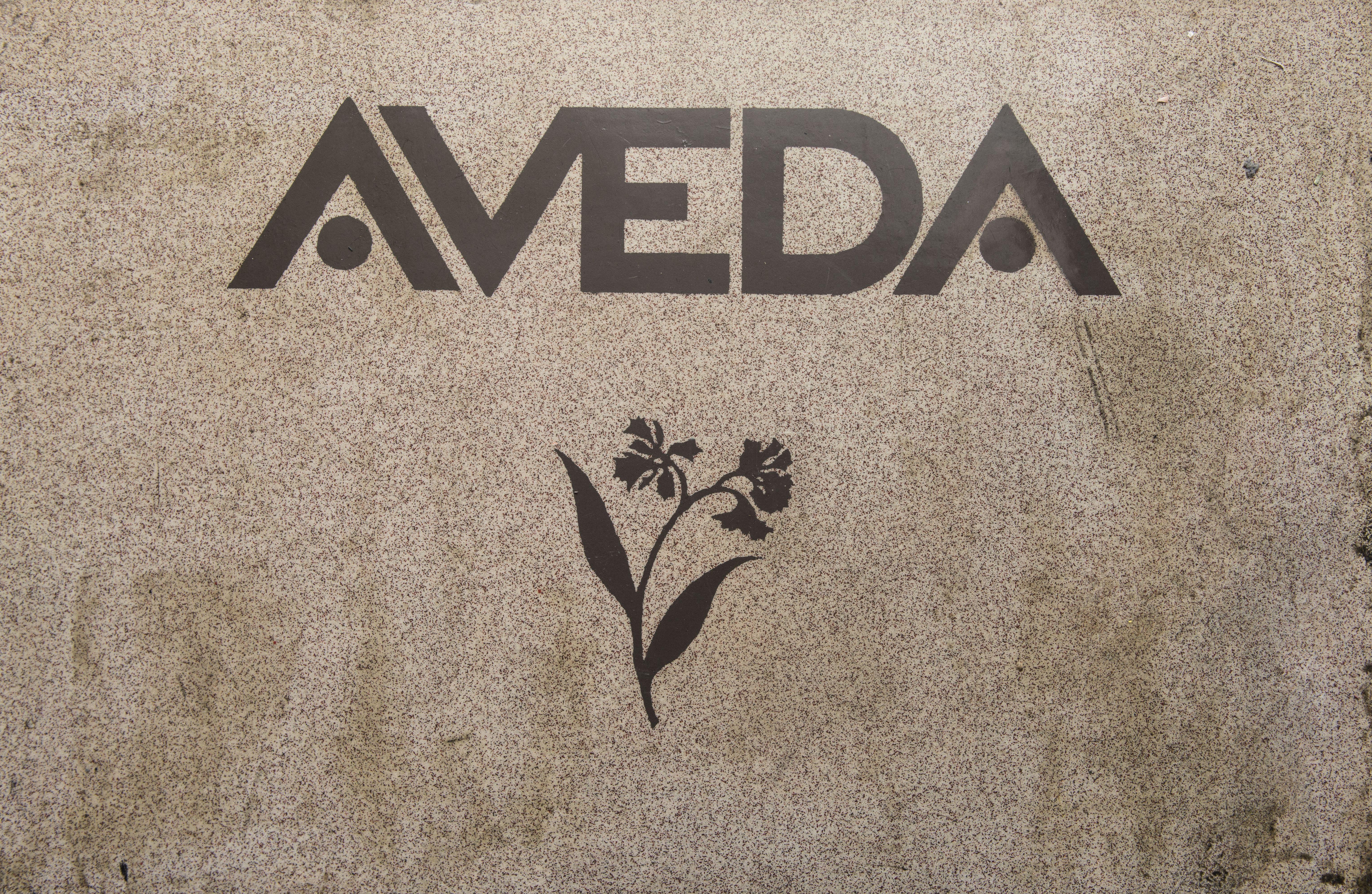 Aveda Logo - The Advantage of an Aveda Education Institute. Aveda