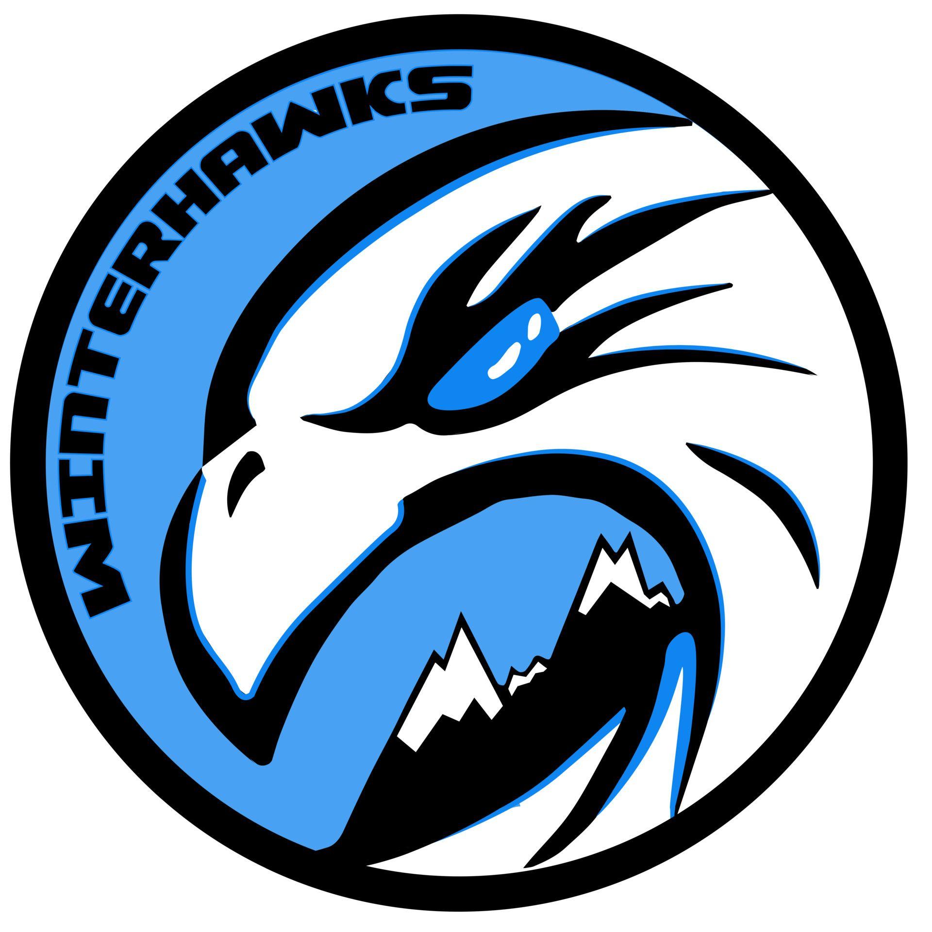 Winterhawks Logo - ArtStation - WinterHawks logo evolution, Michal Dufek