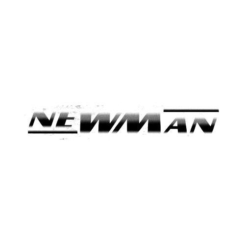 Newman Logo - Newman Rock Band Logo Decal
