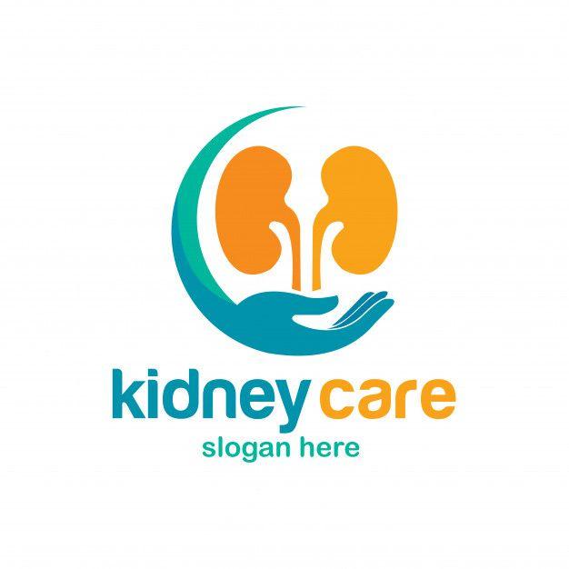 Kidney Logo - Kidney logo Vector | Premium Download