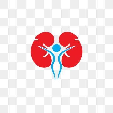 Kidney Logo - Kidney Png, Vector, PSD, and Clipart With Transparent Background for ...