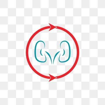 Kidney Logo - Kidney Png, Vector, PSD, and Clipart With Transparent Background for ...