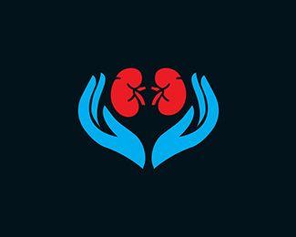 Kidney Logo - Human kidney Designed by user1512730669 | BrandCrowd