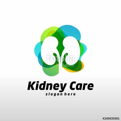 Kidney Logo - colorful kidney logo - Vector