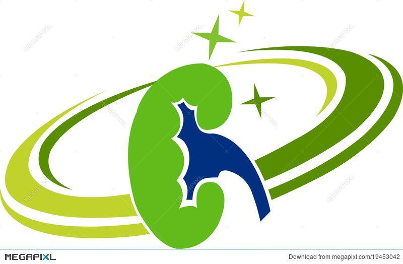 Kidney Logo - Kidney Logo Illustration 19453042 - Megapixl
