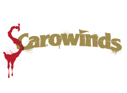 Carowinds Logo - Things to do in Charlotte. Charlotte Amusement Park